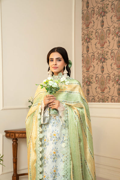 3 Piece Unstitched Embroidered Lawn Suit | MPT-2615